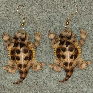 Texas Hand-Painted Earrings